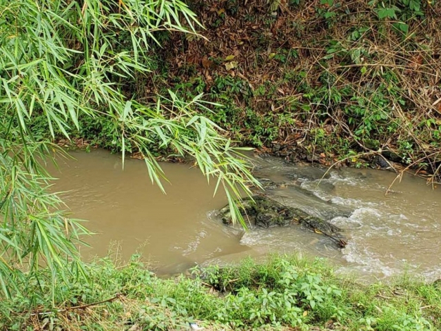 Running Stream View From The Balcony
